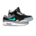 Jordan 3 Retro & Nike Air Max 1 atmos Pack
