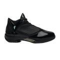 Jordan 2009 S23