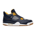 Jordan 4 Retro Dunk From Above