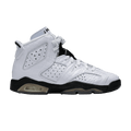 Jordan 6 Retro Alligator (GS)