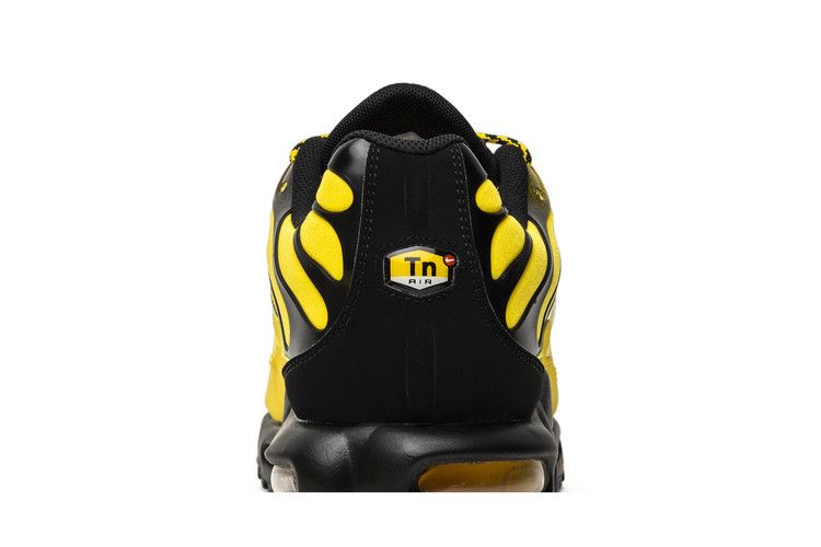 Nike Air Max Plus Frequency Pack