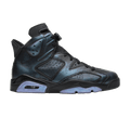 Jordan 6 Retro All-Star Chameleon (2017)
